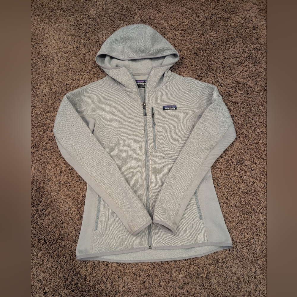 Patagonia Light Gray Full-Zip Hoodie